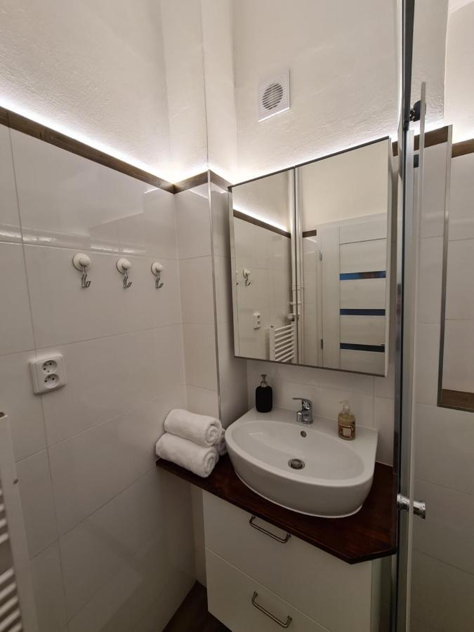 Svetly Prostorny Byt V Karline Daire Prag Dış mekan fotoğraf
