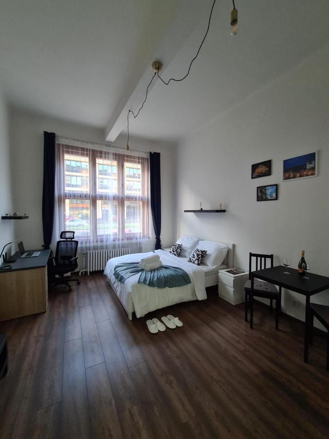 Svetly Prostorny Byt V Karline Daire Prag Dış mekan fotoğraf